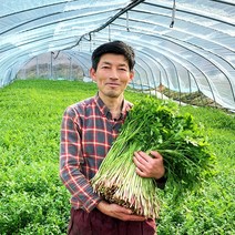 청도 무농약 특등품 한재 미나리 500g 1kg 제철 친환경 세척, 1개