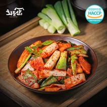 임실 회문산식품 전라도 대파김치 100% 국내산 재료, 5kg, 1개