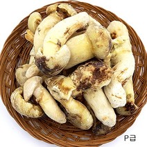 [냉동송이버섯] (청림송이 능이) 햇 자연산 냉동송이버섯 (특품), 1개, 냉동송이/P/1kg