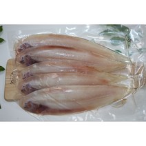 국내가공 반건조 박대 5미 25~30cm내외 450g, 박대5미1팩