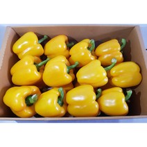 영프레시 파프리카 (특품) 2kg - 혼합 / 노랑/ 빨강 / 주황, 파프리카 빨강 2kg