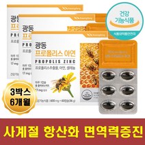 꿀 플라보노이드 프로폴리스추출물 아연 항산화 면역 간절기 환절기 피로 피곤 회복에좋은 여성 남성 직장인 노인 어르신 부모님 입속 구강 치아 잇몸 건강 PROPOLIS 미니 소형 캡슐