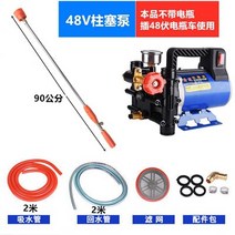 엔진양수기 12V24V48V 농업 전기 고압 펌프/정원 도구 살포 세차 관개 더블 실린더 피스톤, [03] 48V