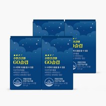 [피토틱스] 수면건강엔 GO슬립 RBS 판토텐산 미강주정쌀겨추출물 4BOX/160정 (40일분), 4BOX, 160정