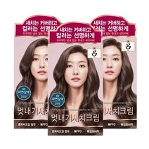 AP 려 우아채 멋내기 새치크림 5N 자연갈색/ 염색, 5N 자연갈색, 3개