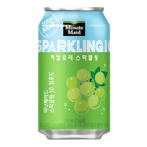 미닛메이드 스파클링 청포도 350mlx24캔x2박스, 상세페이지 참조, 350ml