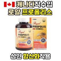 캐나다 로얄 프로폴리스 캡슐 항산화 작용 영양제 활성산소 제거 플로폴리스 플라보노이드 추천 음식 식품 물질 추출물 원액 효능 프로폴린스 식품 음식 propolis 면역력 성분