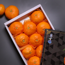 온도씨제주 레드향 선물세트 2.5kg 대과 6-9과내외