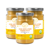 씨벅톤 비타민나무열매 추출분말 파우더 120g, 3통