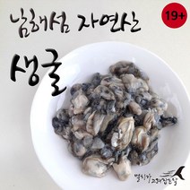 산지직송 싱싱한 자연산 생굴 석화 생굴구이 각굴 하프셀 1kg 소포장 대왕 남해섬 통영 보물섬, 1개
