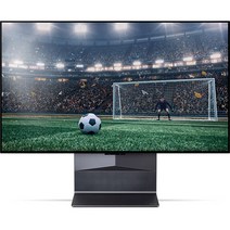 LG전자 4K UHD 올레드 Flex TV, 105cm(42인치), 방문설치, 스탠드형, 42LX3QKNA