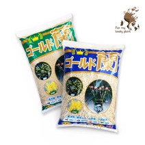 골드란 15L 고급 난석 소성경질 동양란 만년청 새우란 춘란난석, 미립