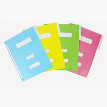 PP 칼라 정부화일 A4 10개 파일철 서류정리, 연두