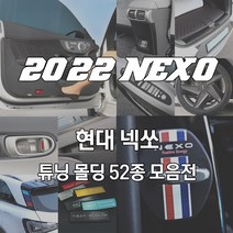 JS automotive 넥쏘 자동차 실외 PPF 랩핑 보호 가드 주유구 커버 시트지 필름 스티커 자동차 카악세사리 튜닝 몰딩 용품 전용, 27_AL 프론트사이드-실버