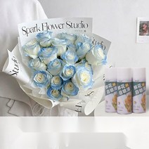 생화 스프레이 꽃 특수 염료 착색제 플라워 컬러 스프레이, 블루 인챈트리스 450ml 전용 컬러 친환경