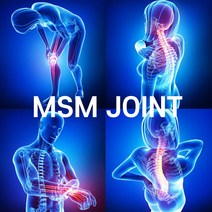 msm 2000ble 엠에스엠 관절케어 효능 부작용 죽생법 액티브 조인트 큐, 뉴파워