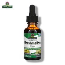 네이쳐스앤서 고투콜라 추출물 무알콜 2 000mg 30ml GOTU KOLA