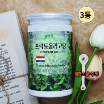 네덜란드 프락토올리고당 분말 신 프리바이오틱스 유산균분양 갈락토올리고당 이눌린 350g 3통
