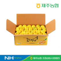 eTV 2022 귤로장생 제주 햇 노지감귤 4.5kg * 1박스, 1