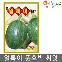 얼룩이 풋호박 씨앗 15립, 얼룩이풋호박, 1개