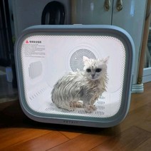펫 드라이룸 가정용 드라이기 소형견 반려동물 고양이 강아지 털, MAX PD10