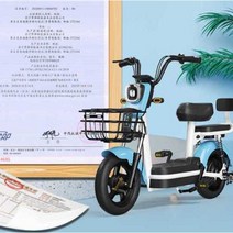 어르신전동차 삼륜 노인 바이크 전동 스쿠터 관부가세포함, E