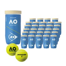 던롭 DUNLOP 테니스 공 호주 오픈 대회 사용구 AO 1캔 2개입 60구 DAOAYL2DOZ