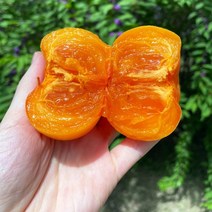 달콤한 청도반시 씨없는 감 홍시 연시, 1개, 청도반시 2kg 소과(24과 내외)