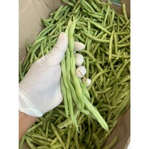 그린빈스 500G 그린빈 빈스 껍질콩