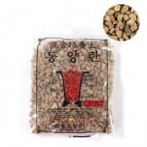 동양란 중 난석식물보호 식물영양제 복합비료 화분 25358ea, 장연다육 동양란 중