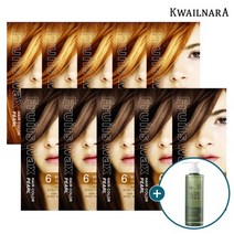 진주펄 염색약 스페셜 10개세트+알로에클렌징폼 500ml, 밝은황갈색6호 5개_갈색4호 5개