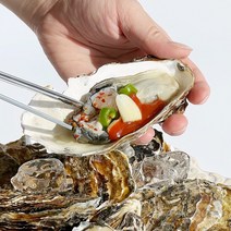 [맛통영] 통영 산지직송 제철 최상급 생굴 깐굴 굴 석화 각굴 하프셀 반각굴 1kg, 생굴1kg