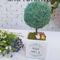 스칸디아모스 천연이끼나무 공기정화 주문제작, 03.빅큐브 꽃 트리-퍼시픽그린