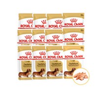 로얄캐닌 닥스훈트 어덜트 파우치 습식85g(1box-12개)