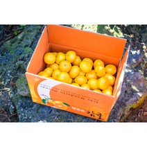 제주땡큐베리팜 22년 싱싱 달달 제주 노지 감귤 5kg 10kg 박스, 감귤 5KG(중대과 L/2L)