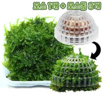 무결점 미니삼각 모스+모스돔 3개 세트, 없음