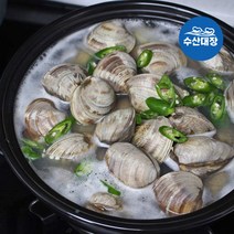 수산대장 살아있는 활 백생합 1kg+초장 자연산 생합조개 백합 탕 구이 캠핑조개