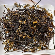 23년 지리산 국산 고사리 건고사리 말린 고사리 건나물 햇고사리 햇나물 봄나물, 건고사리 100g, 1개