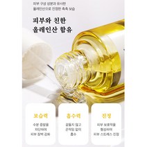 메디필 보습 진정 시그니처 100프로 제주 동백오일 15ml, 1개