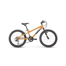RALEIGH Bikes Rowdy 16/20/24 남아 및 여아용 아동용 자전거, Orange, 20