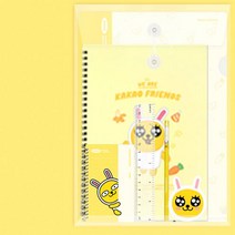카카오프렌즈 A+ 문구세트 4950, 무지4950
