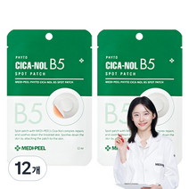 메디필 피토 시카놀 B5 스팟 패치 S, 24개, 24개입