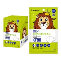 웰킵스 미세먼지황사마스크 대형 KF80, 25개입, 1개, 백색