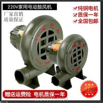 220V 원심 분리 아궁이 바람 기기 바베큐 미니송풍기, T19-주물석쇠 구리 코어