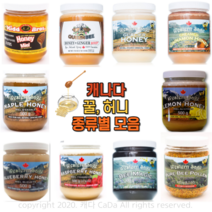 캐나다 꿀 허니 500g 종류별 모음 KB Honey, 12. WS 퓨어비폴른 500g