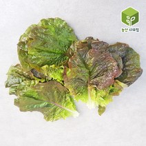 적상추(특) 4kg, 단품