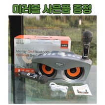 최신형 가정용 노래방기계 풀세트 캠핑용 차량용 이동식 블루투스 노래방 마이크 유선 무선 미니 노래방기계