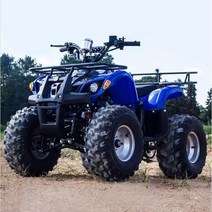 산악 오토바이 ATV 4륜 농업용 사발이 레저용 소형 바이크 전동 자전거, E