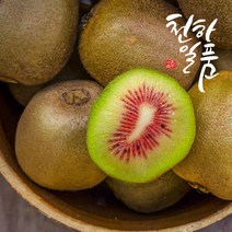 [우체국쇼핑] 당도끝판왕 천하일품 제주 레드키위 4.5kg 특대과(30-41과), 상세 설명 참조