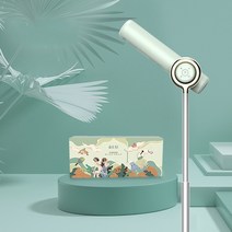 헤어스티머 가정용 수직 헤어 드라이어 손 음이온 모발 관리 고출력 빠른 건조 랜딩 1700W, [02] green